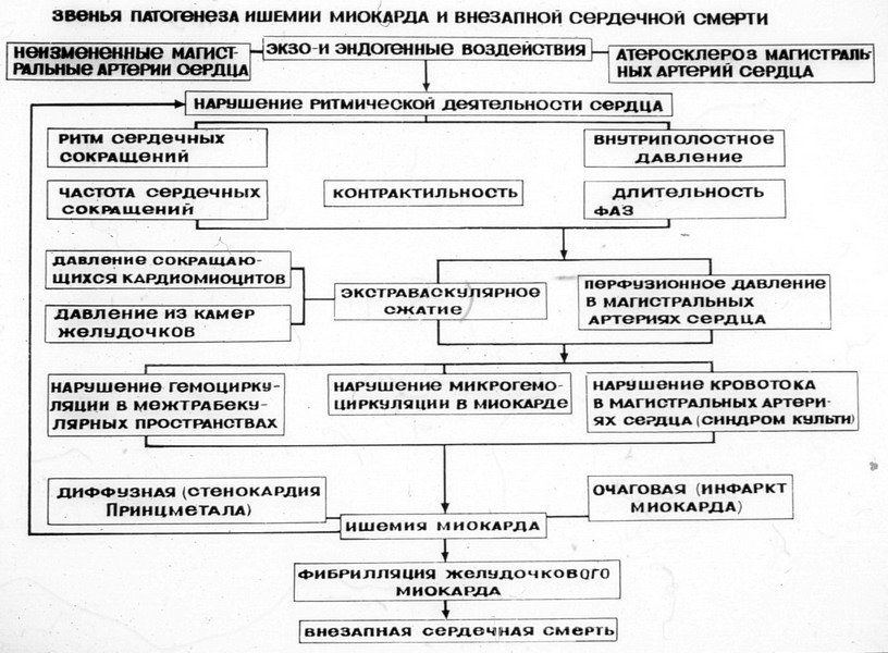 Ишемия схема патогенеза